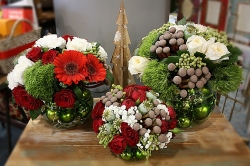 xmas flowers