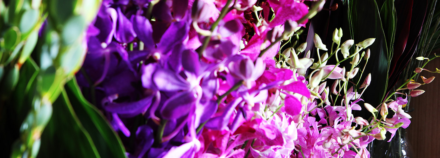 About St John of God Florist