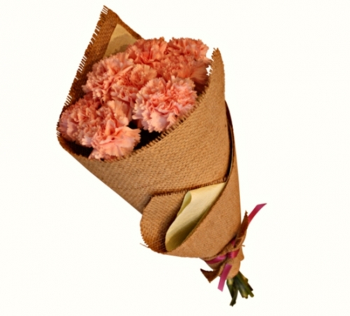 Ita in Spring - Main Image