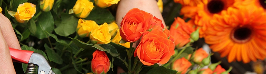 Making someone's day is just a click away