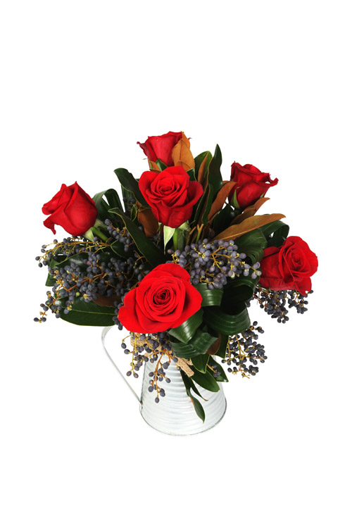 Affection - Main Image