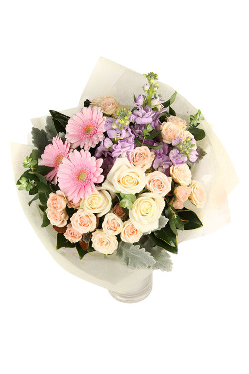 Antonio - Main Image