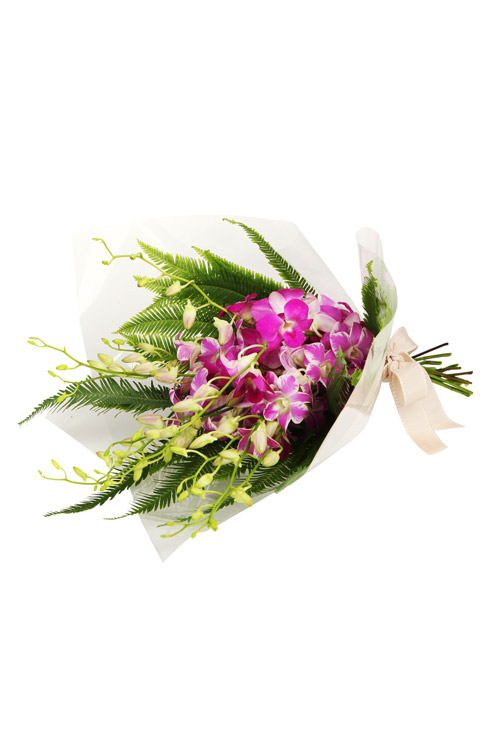 Assumpta - Main Image