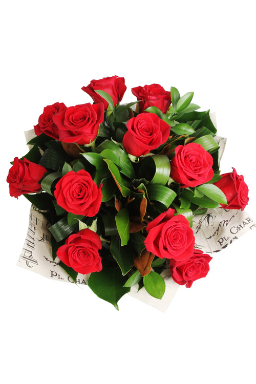 Tenderness - Main Image