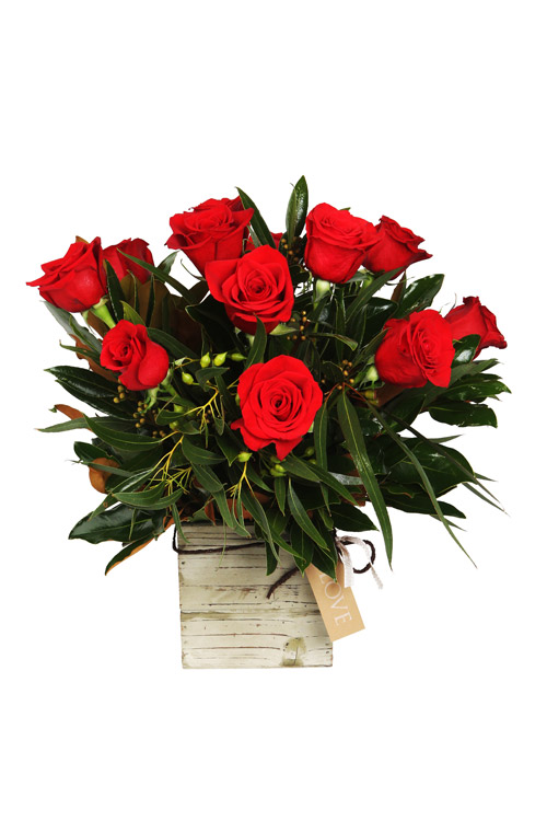 True Love - Main Image