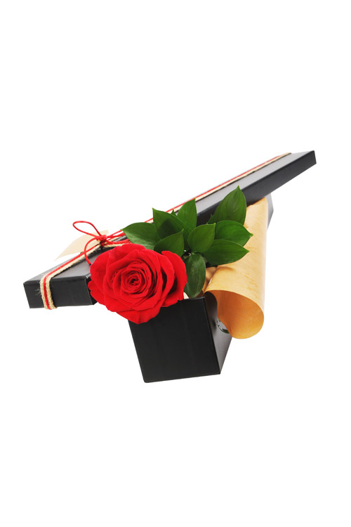 New Love - Main Image